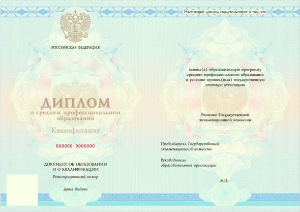 Диплом СПО — Разработчик игр